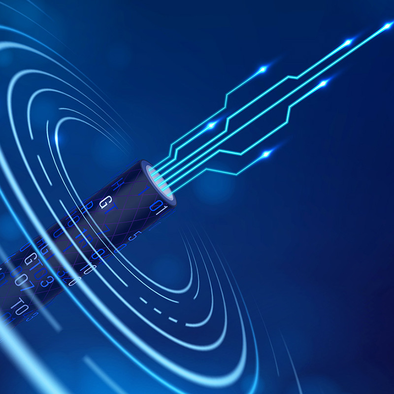 Lianou Electric präsentiert innovative Produkte auf der International Electrical Expo und führt den grünen Trend an